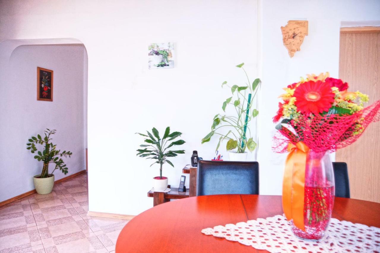 Holiday Home Bura Rovinj Exteriér fotografie